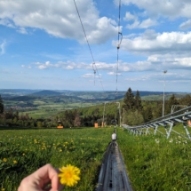 signal-2024-05-10-22-26-39-019-1